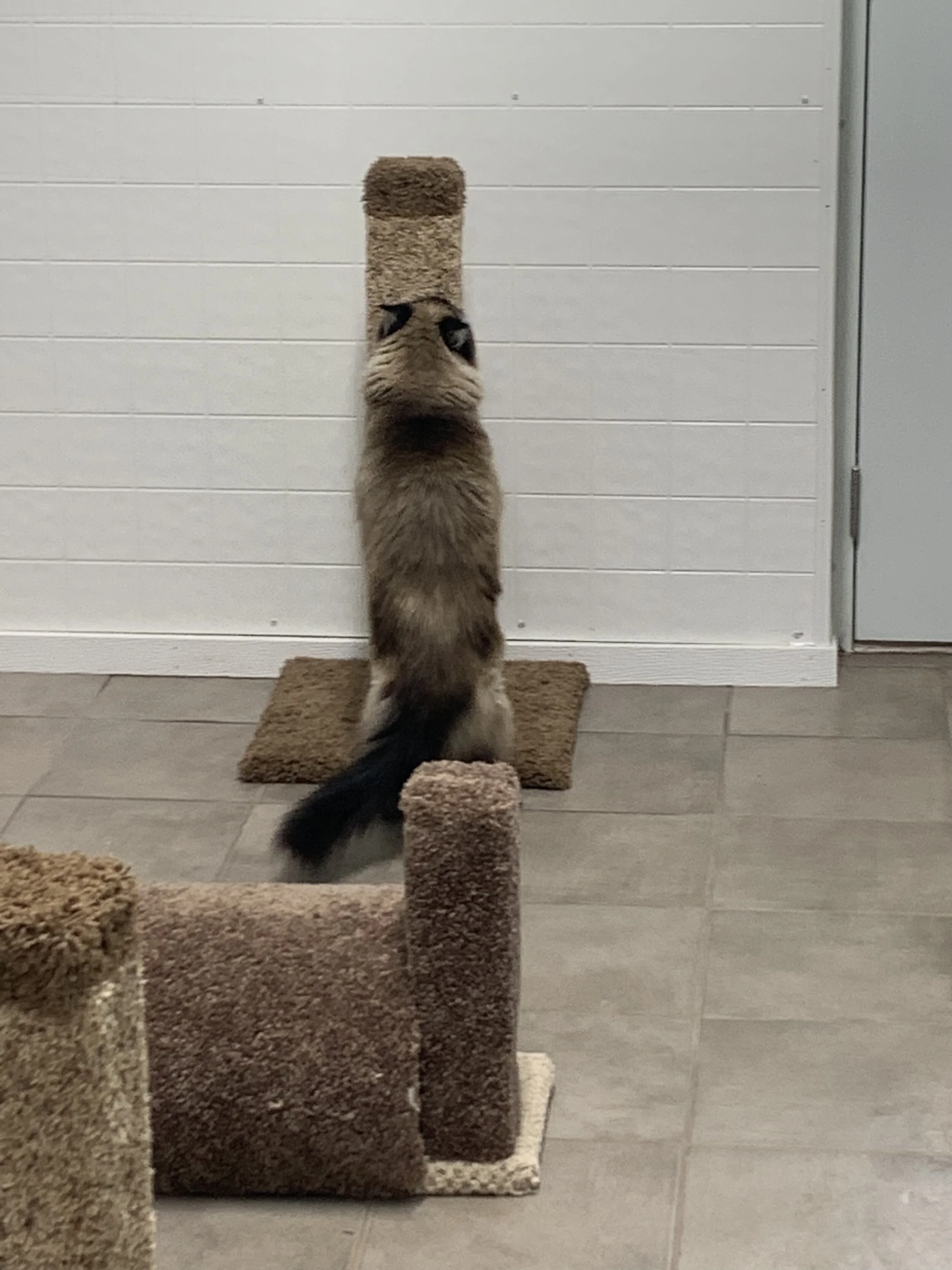 Photo Sep 09, 9 26 20 AM.jpg