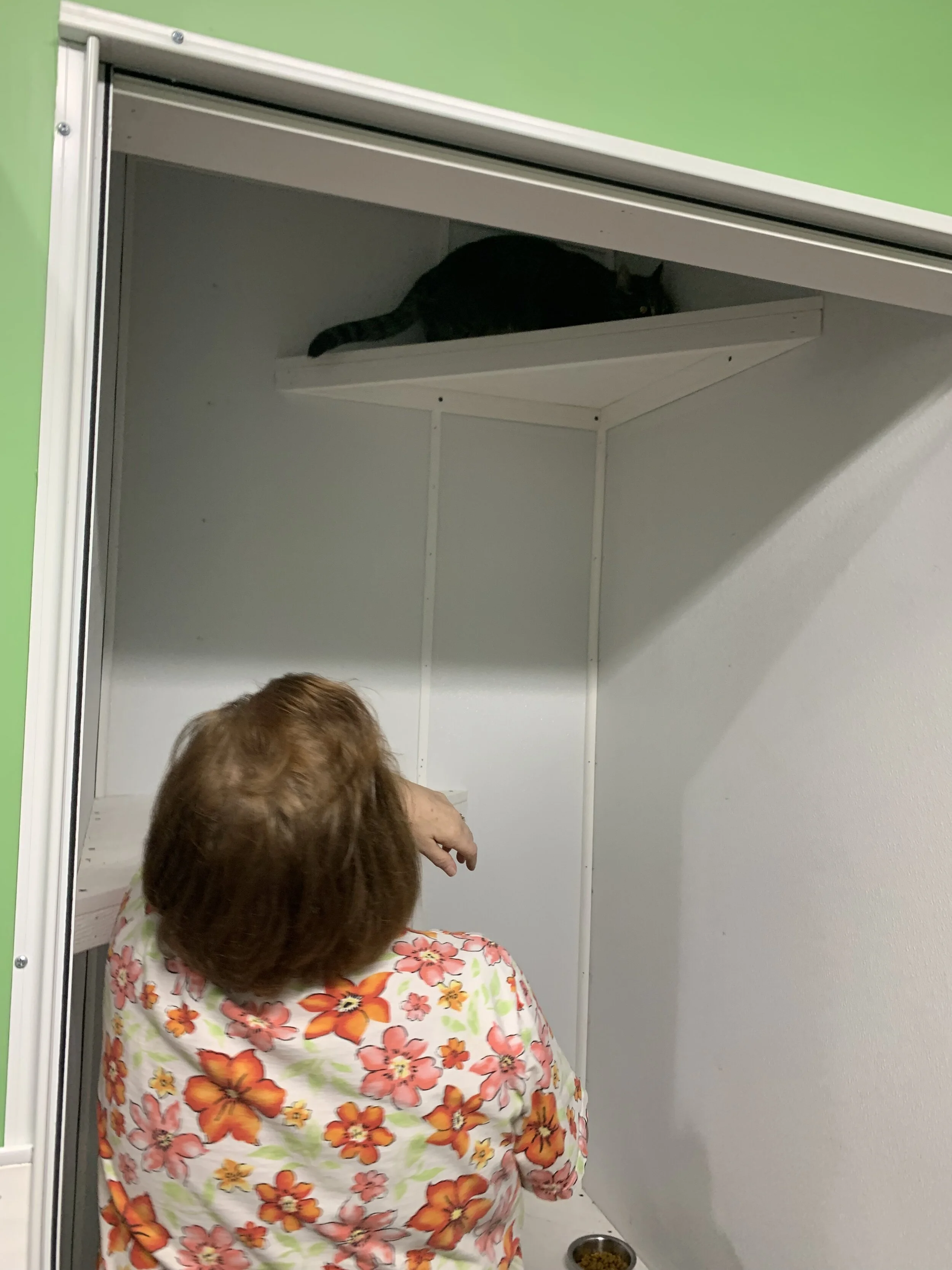 Photo Sep 09, 9 26 49 AM.jpg