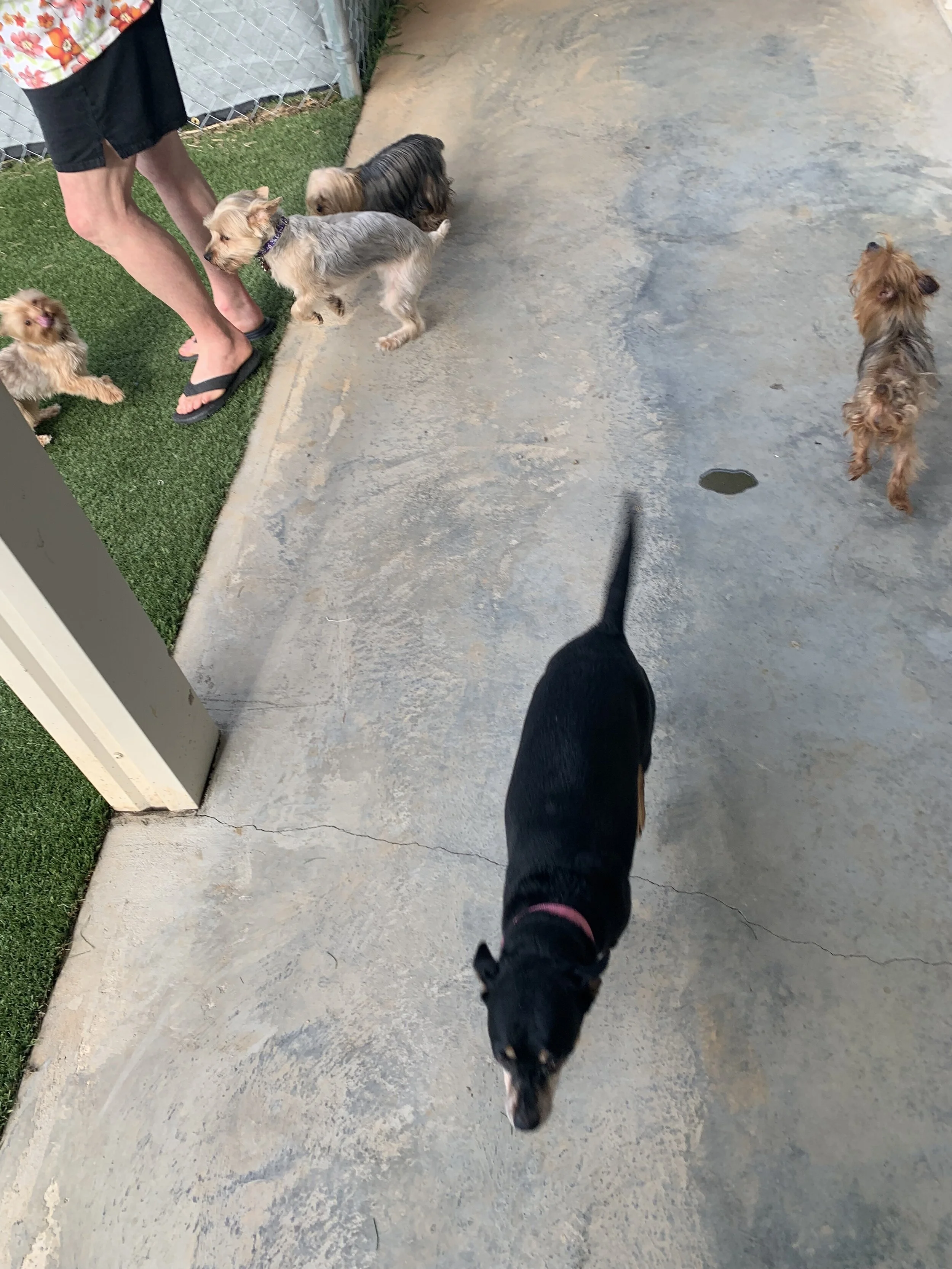 Photo Sep 09, 9 31 37 AM.jpg