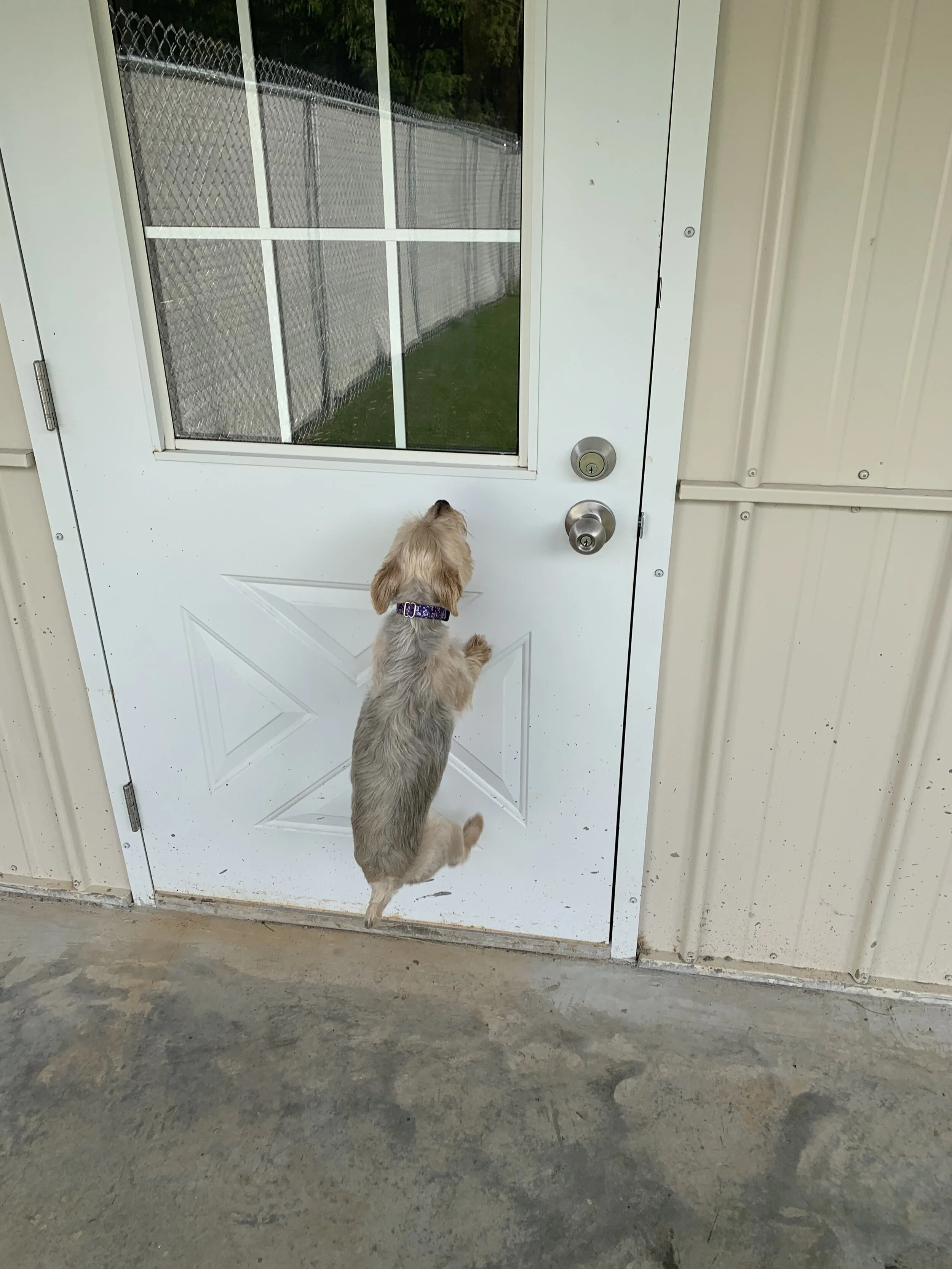 Photo Sep 09, 9 34 25 AM.jpg