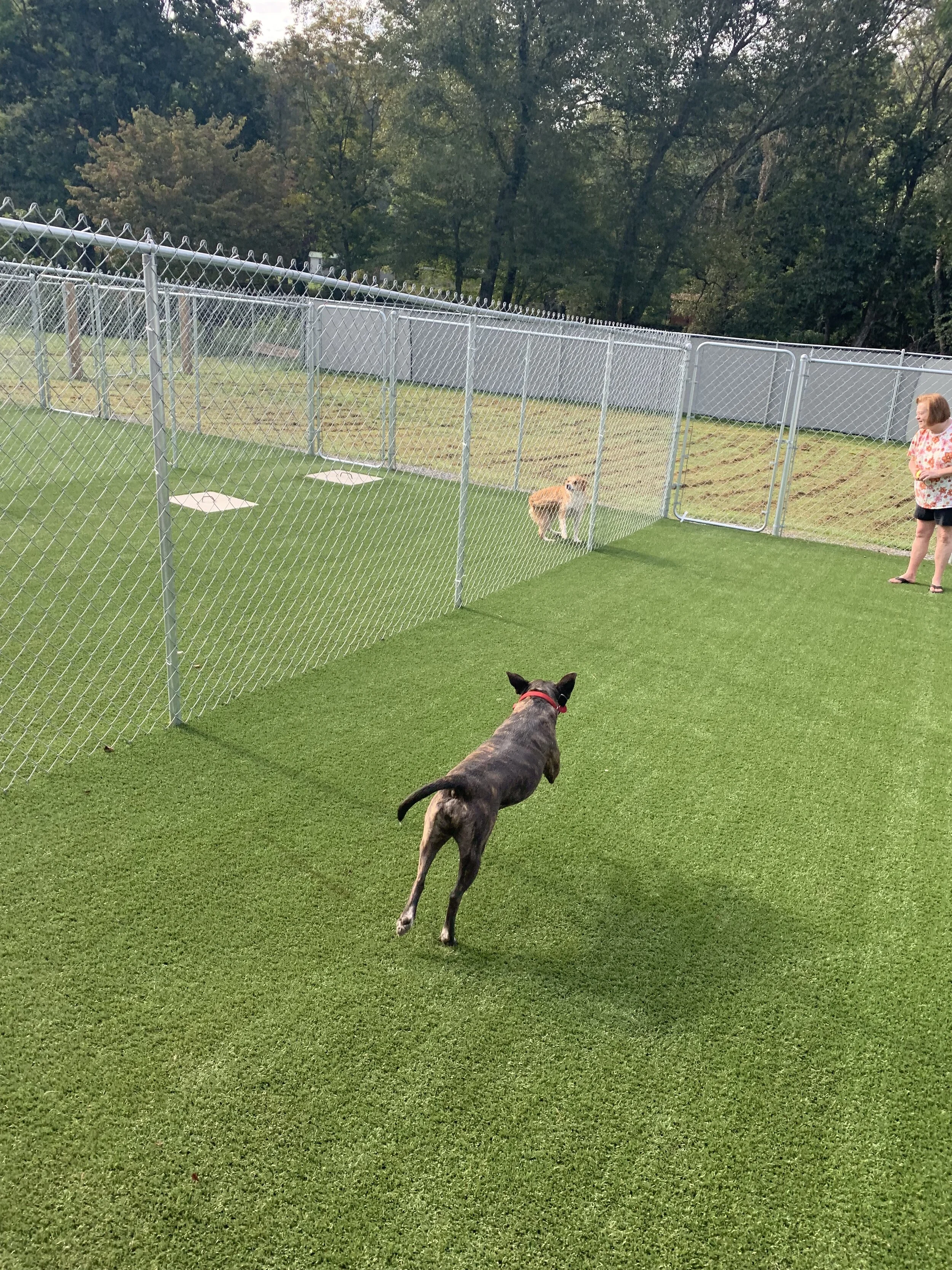 Photo Sep 09, 9 39 37 AM.jpg