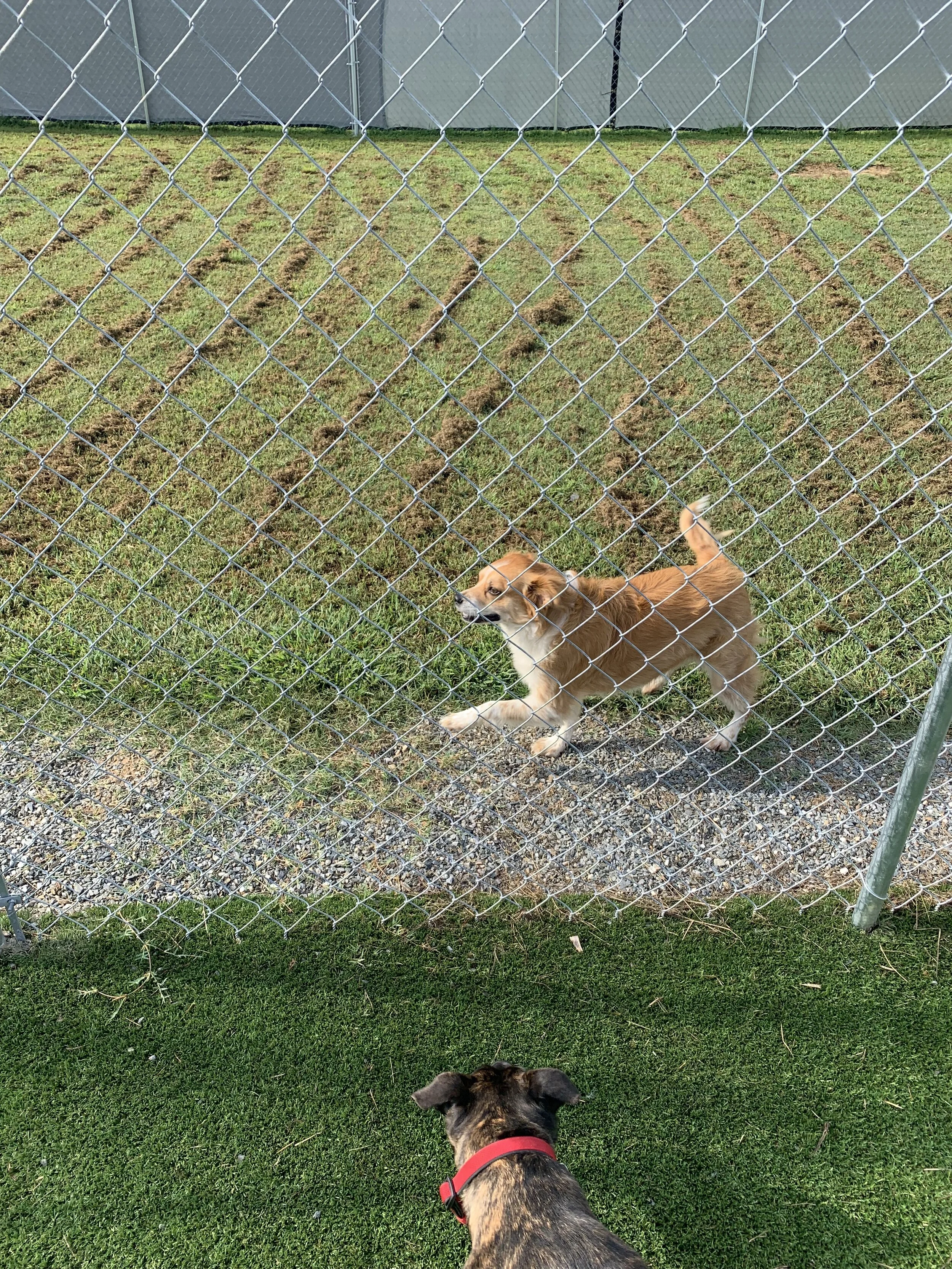 Photo Sep 09, 9 40 13 AM.jpg