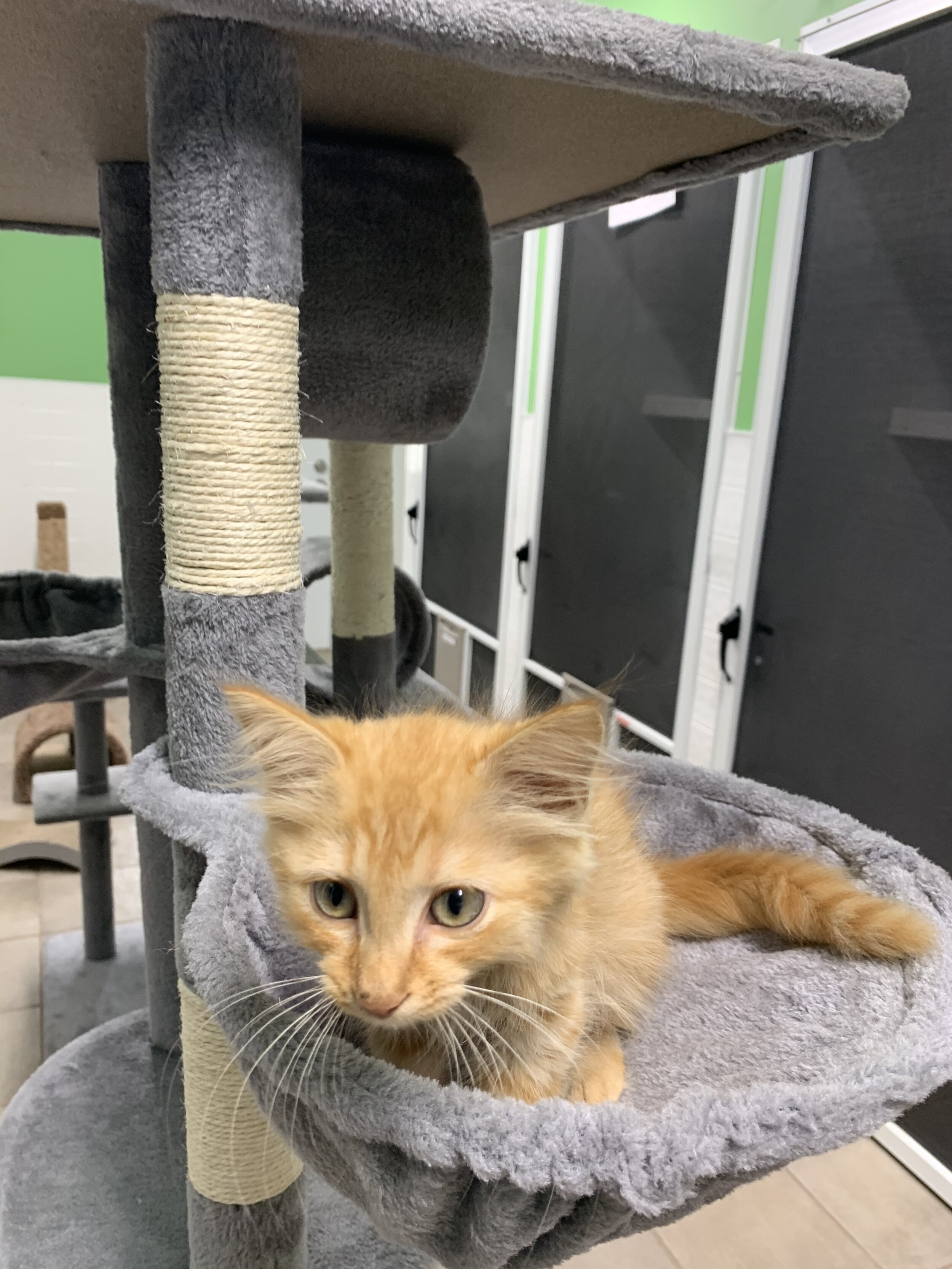 Photo Sep 30, 1 07 16 PM.jpg