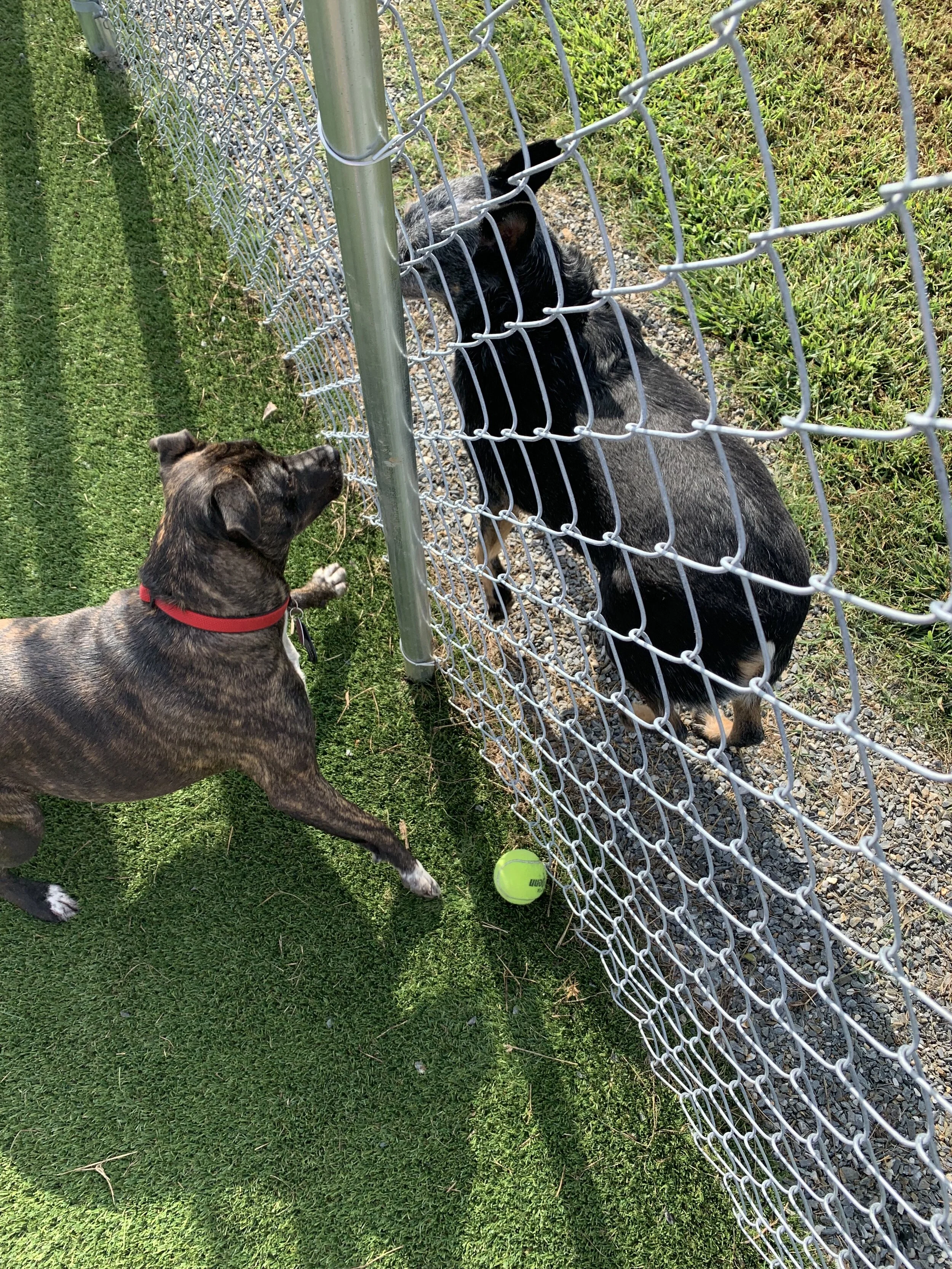 Photo Sep 09, 9 49 15 AM.jpg