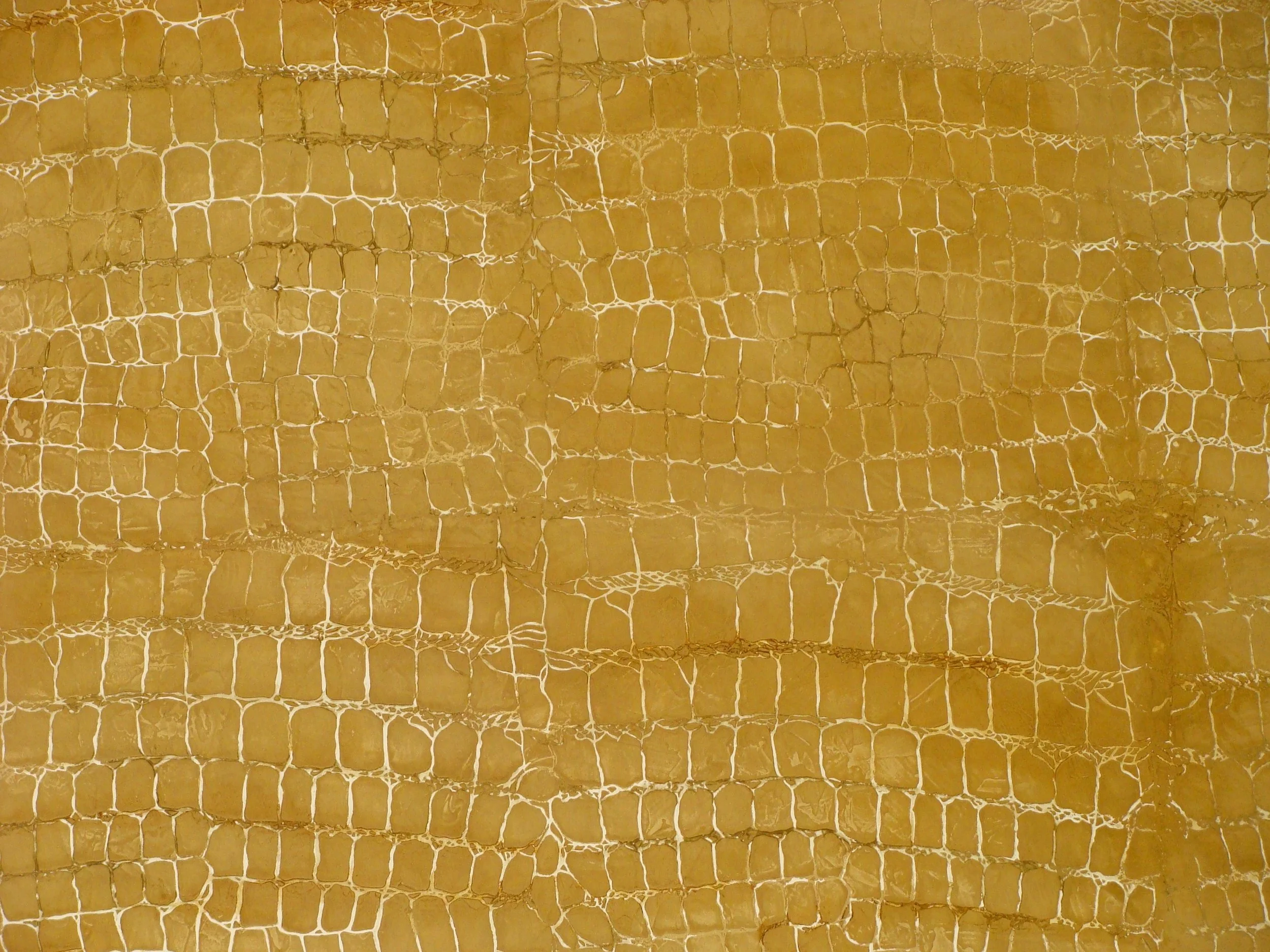 Raised Venetian Plaster Crocodile Stencil