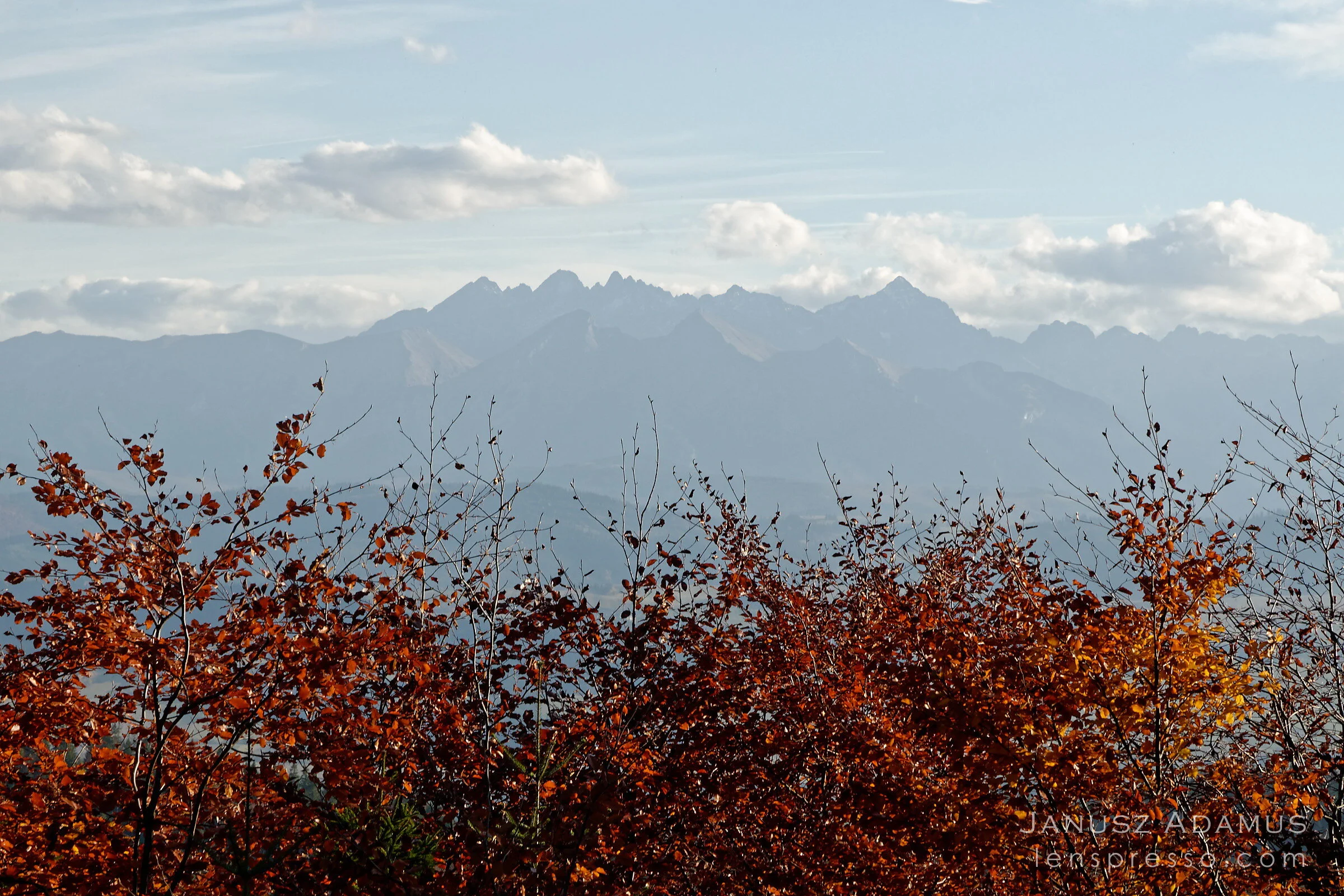 Tatras over red beech trees