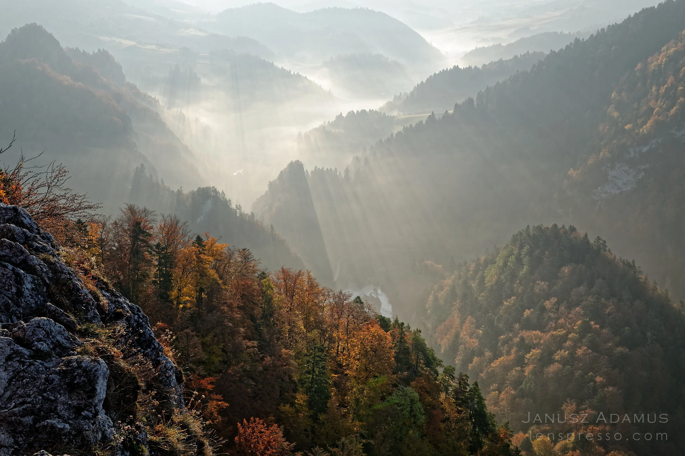 Dunajec valley from Sokolica