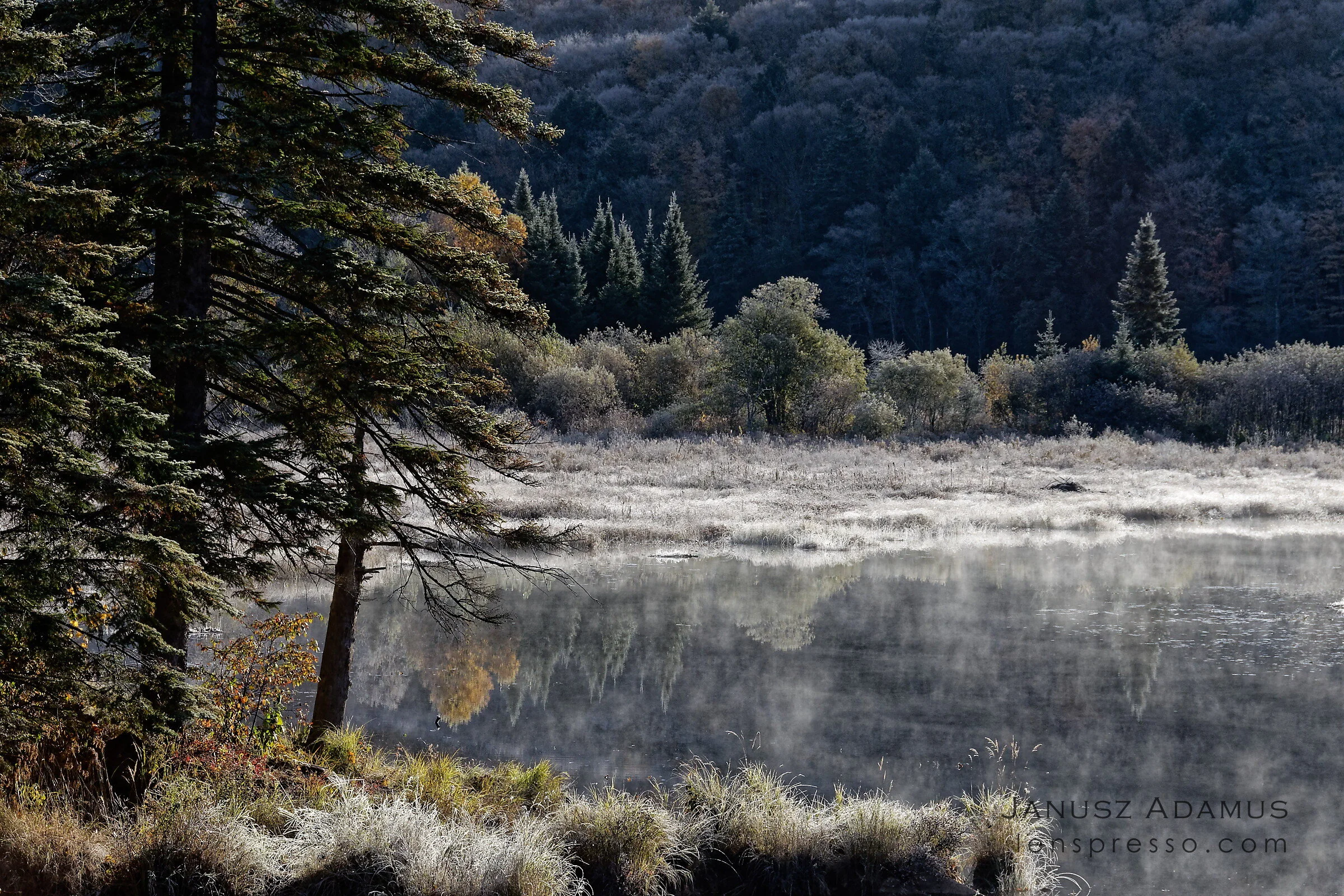 Frosty lake