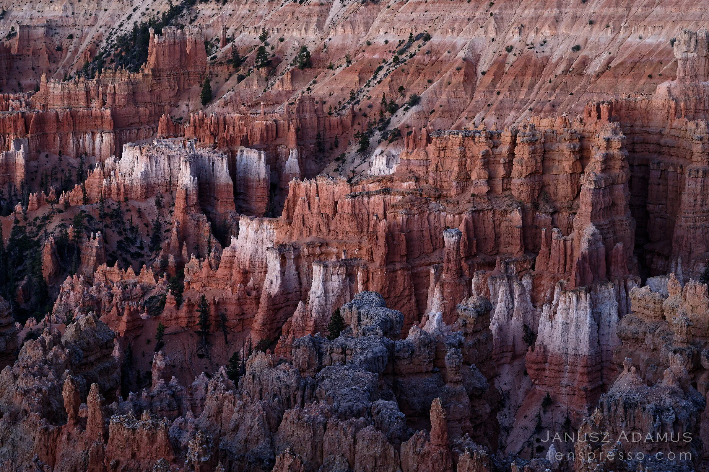 Bryce Canyon before sunrise