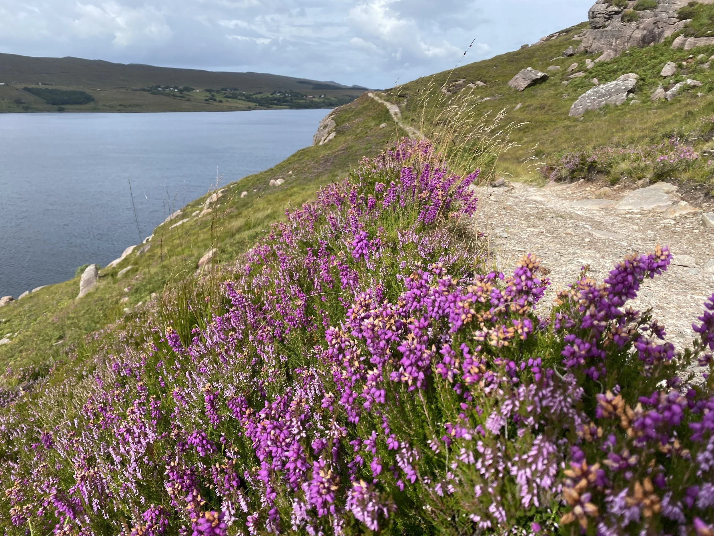 Going to the heather - a blog courtesy of Jim Anderson
