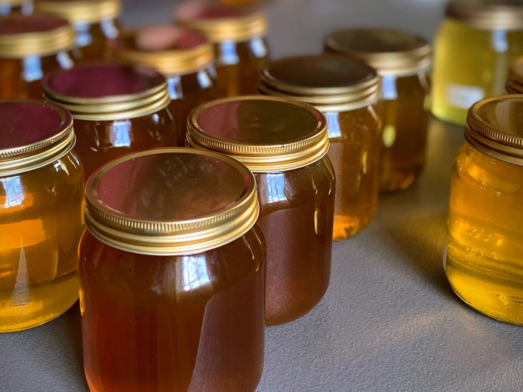 HONEY SHOW 2025