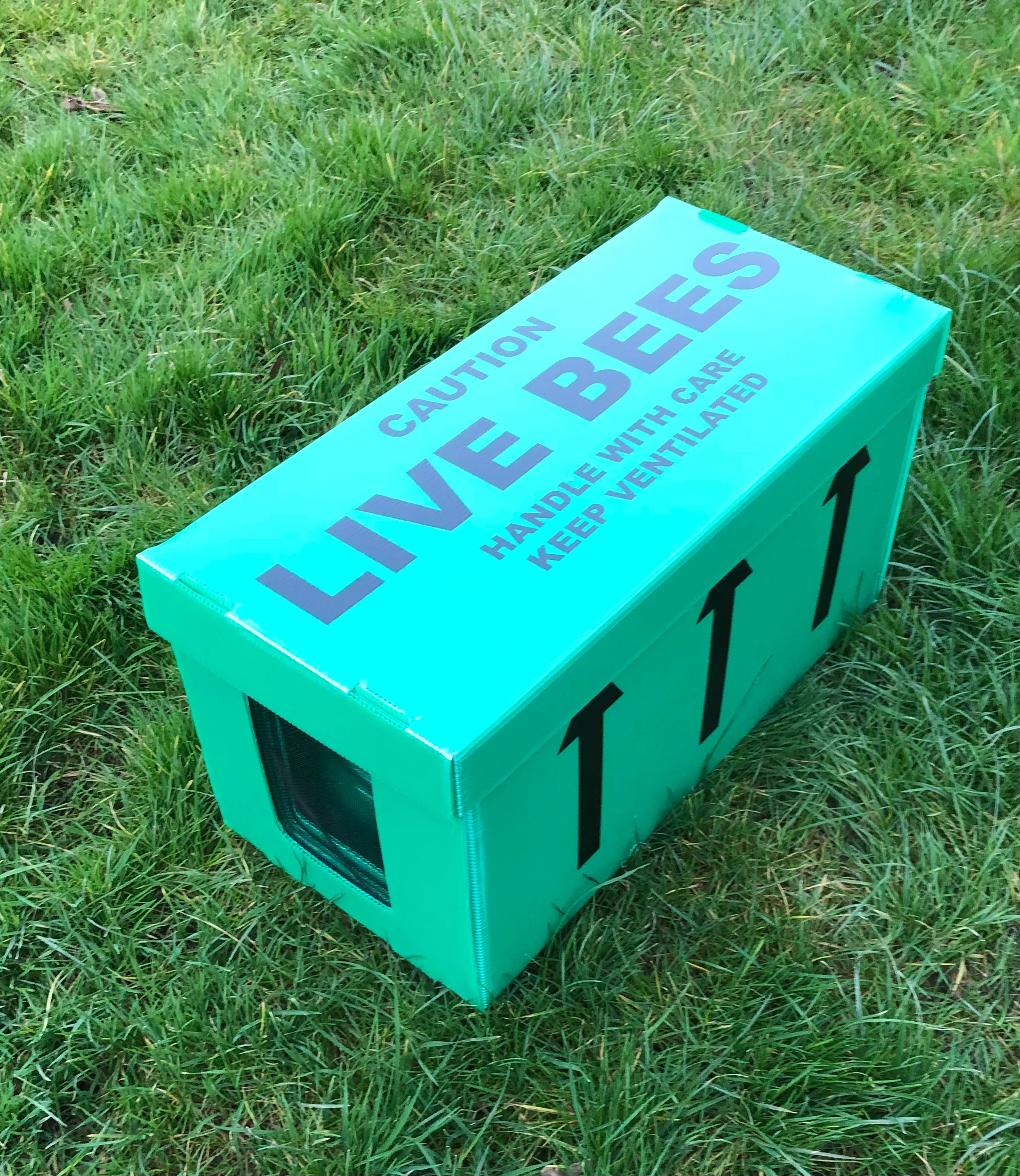 Overwintered Nucs – Spring 2026