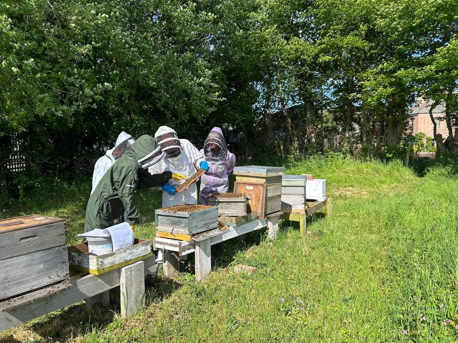 Bleachfield Apiary Visit