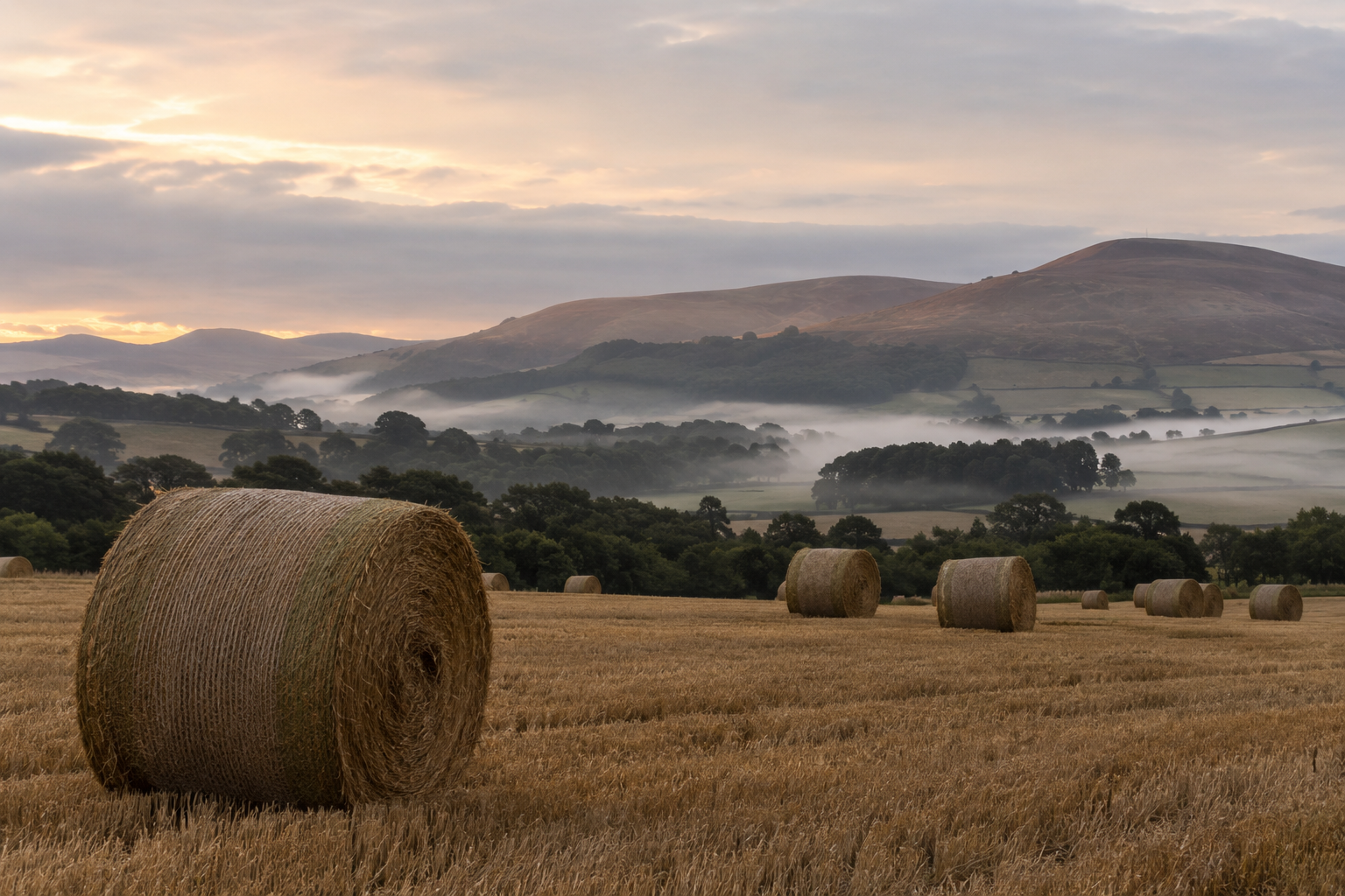 A rural landscape with hay bales in a golden field, rolling hills in the background, some covered in mist, under a cloudy sky at sunrise or sunset.