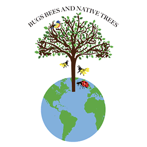 BBNT-Logo-Gif.gif
