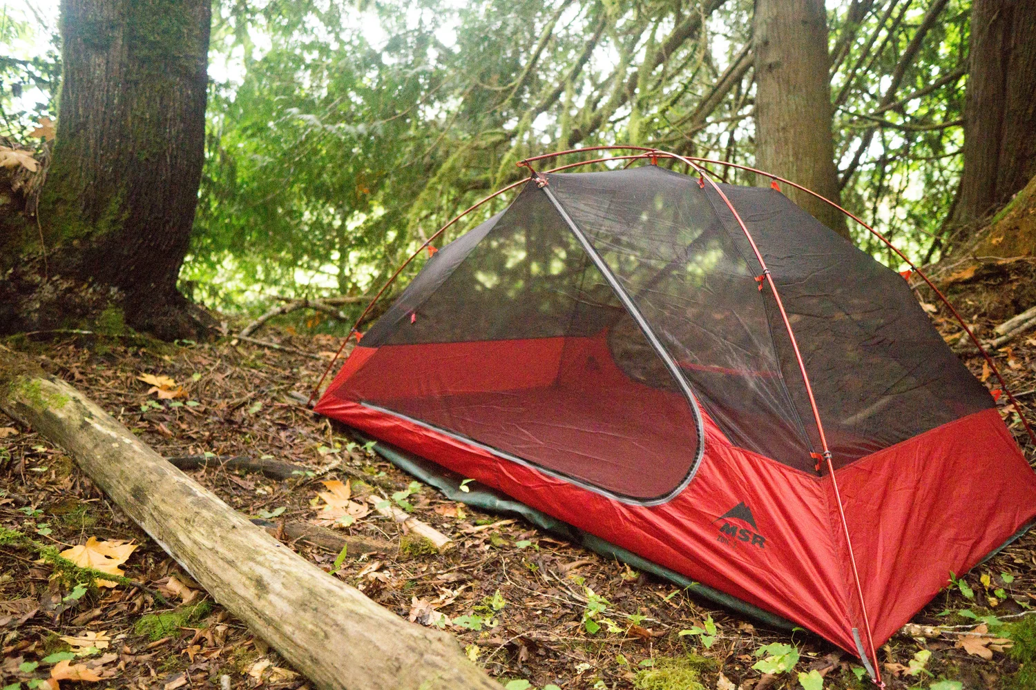 MSR ZOIC2 - 山岳テント 