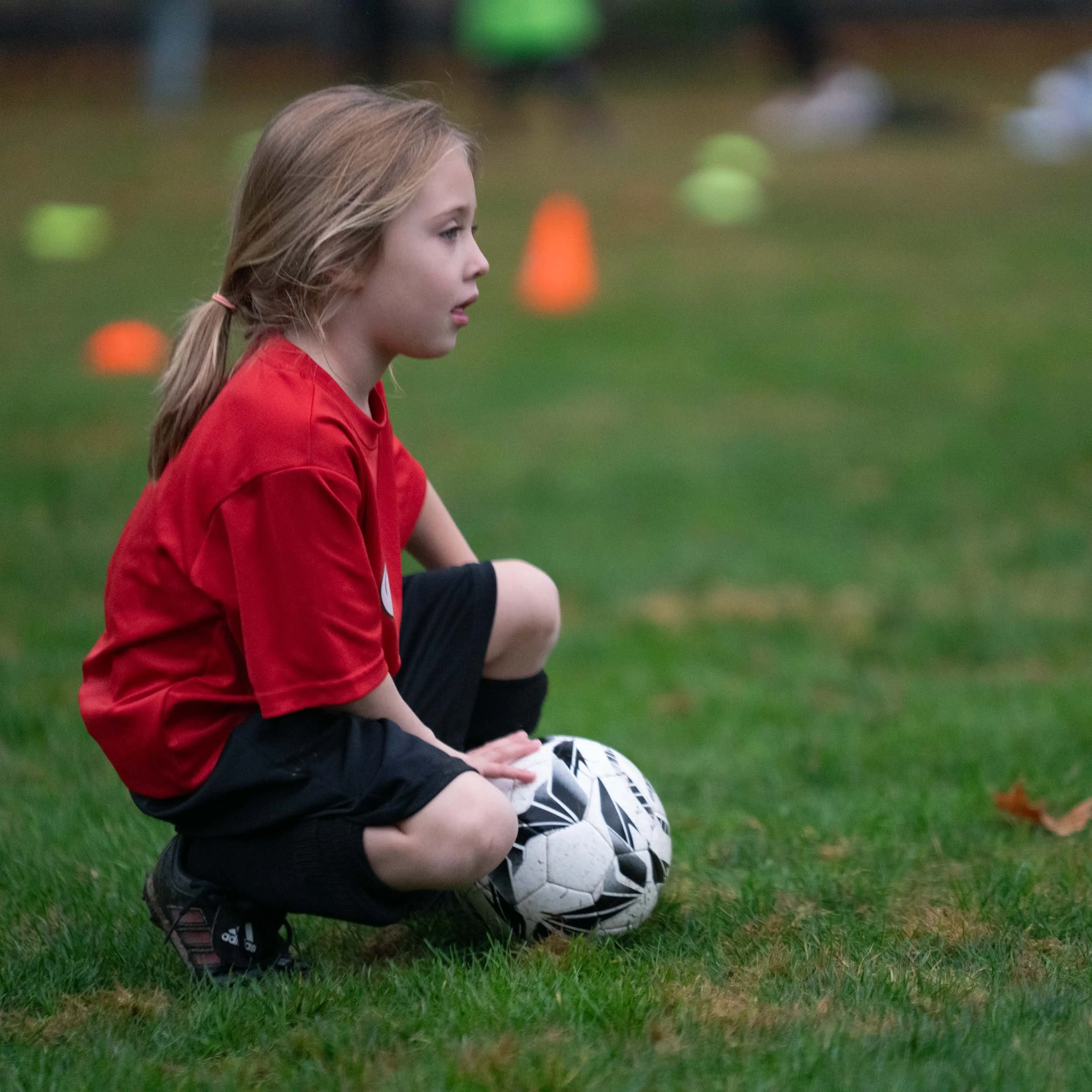 20241026-_DSC1301.jpg