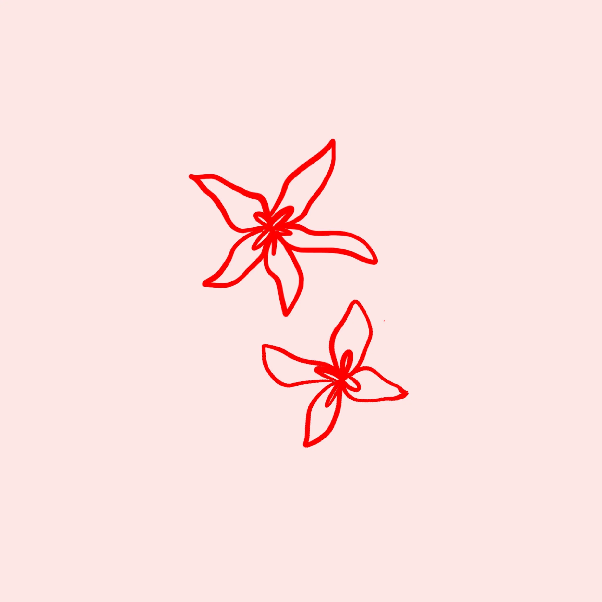 ILLUSTRATIONS5.jpg