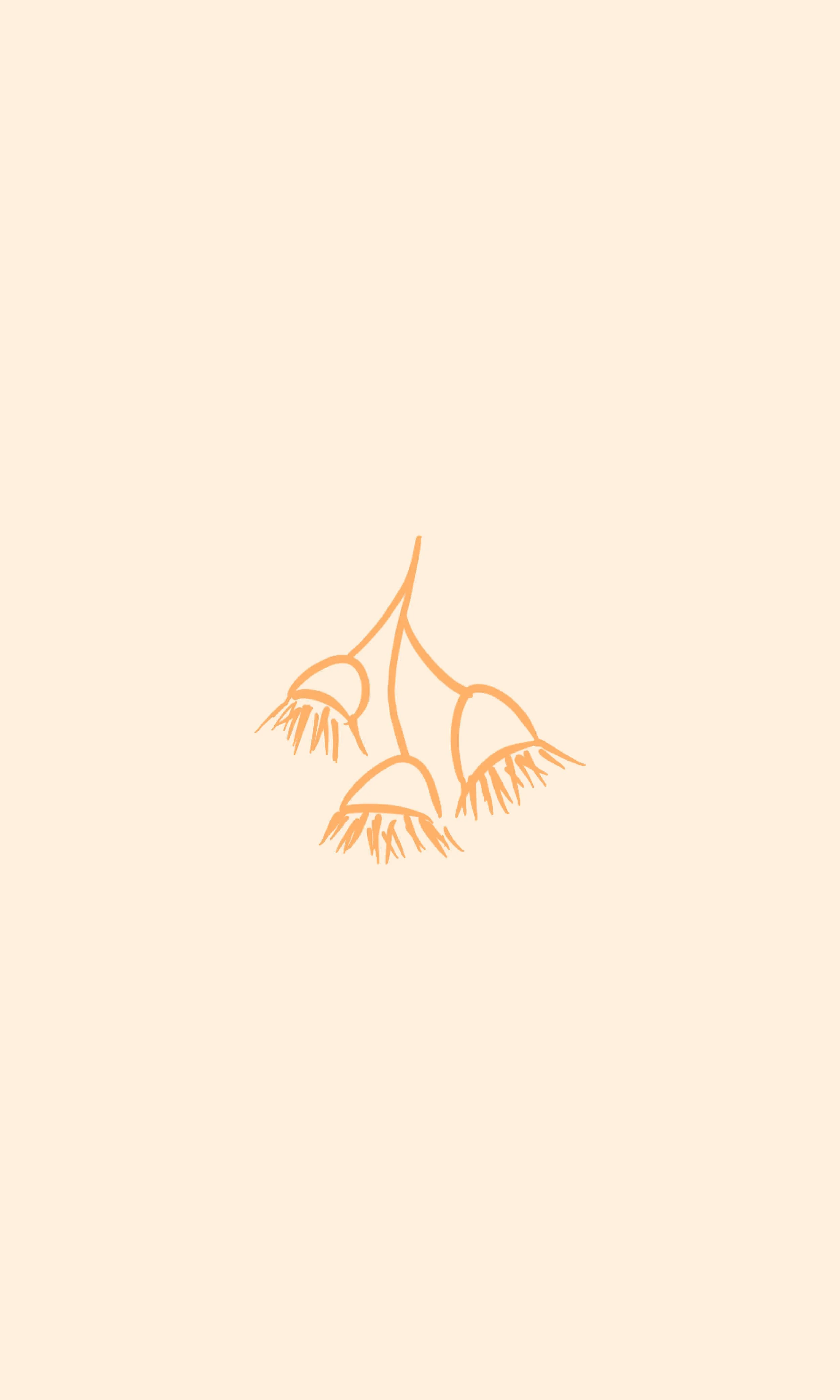 ILLUSTRATIONS8.jpg