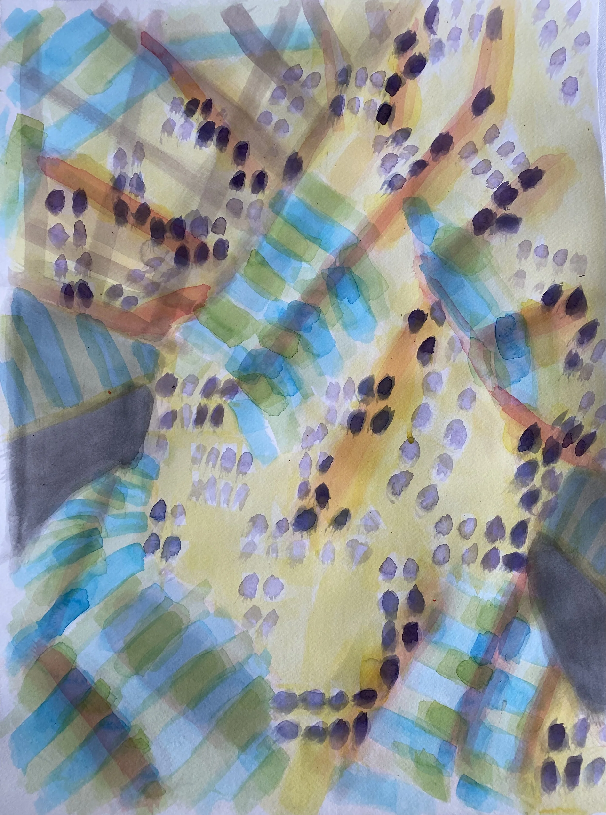 Untitled (Bodega Wrap II)