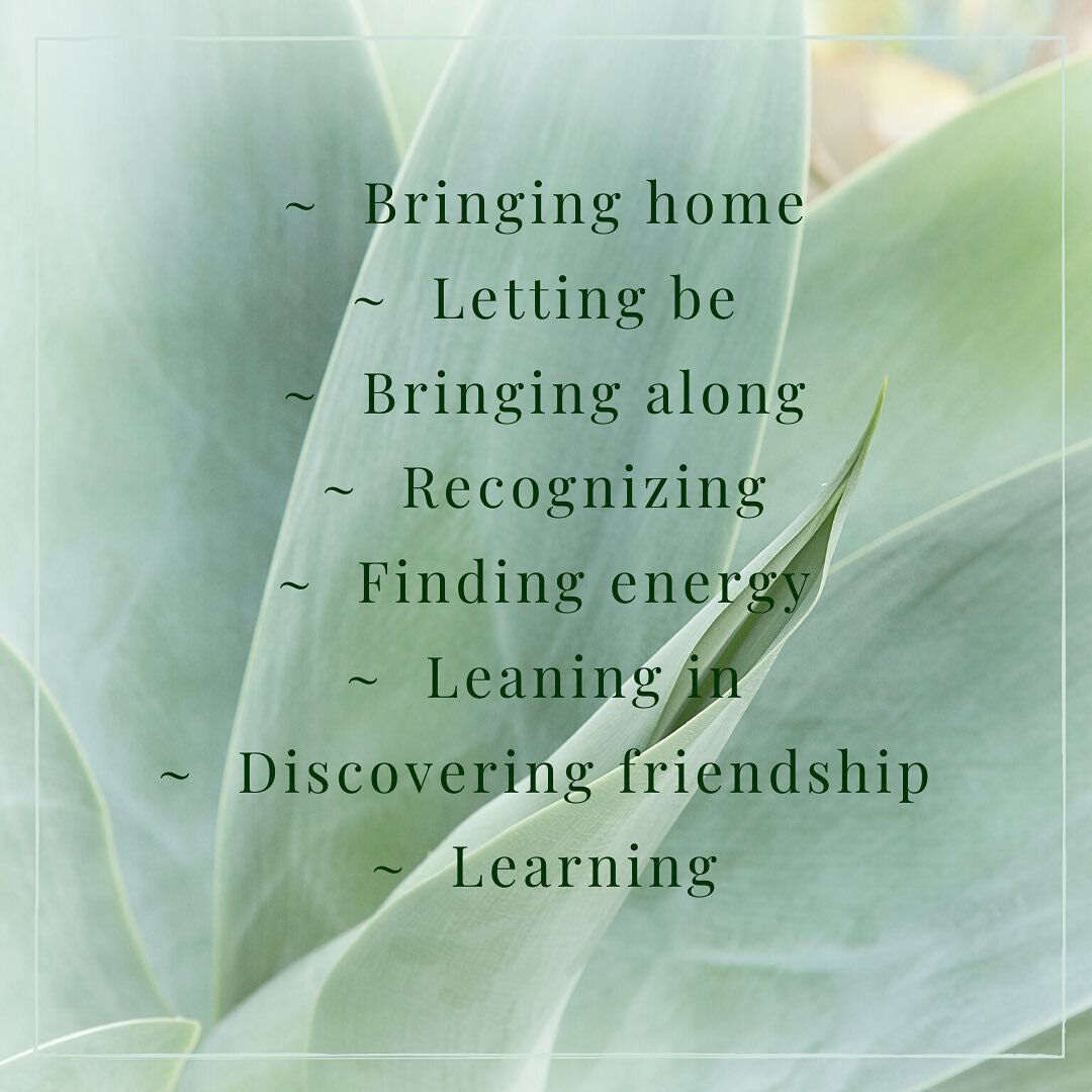 The principles of Basic Attendance, the therapeutic backbone of the Windhorse approach to supporting another in their mental health recovery journey. Read more about this beautiful practice in a paper by Kathy Emery, longtime Windhorse practitioner, 