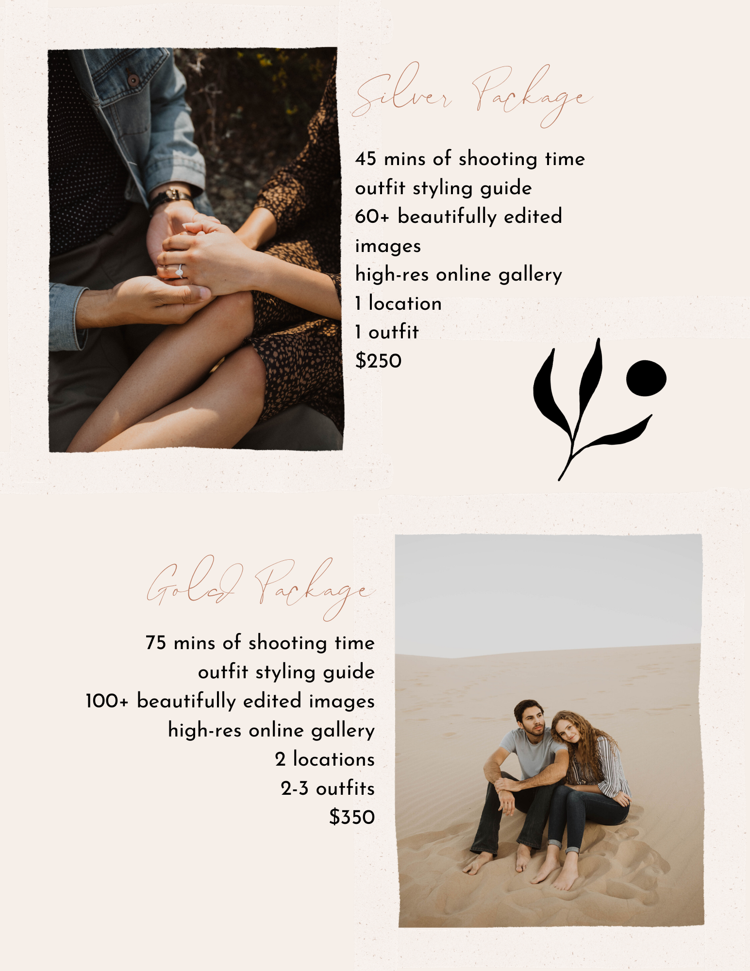 Silver Package-3.png