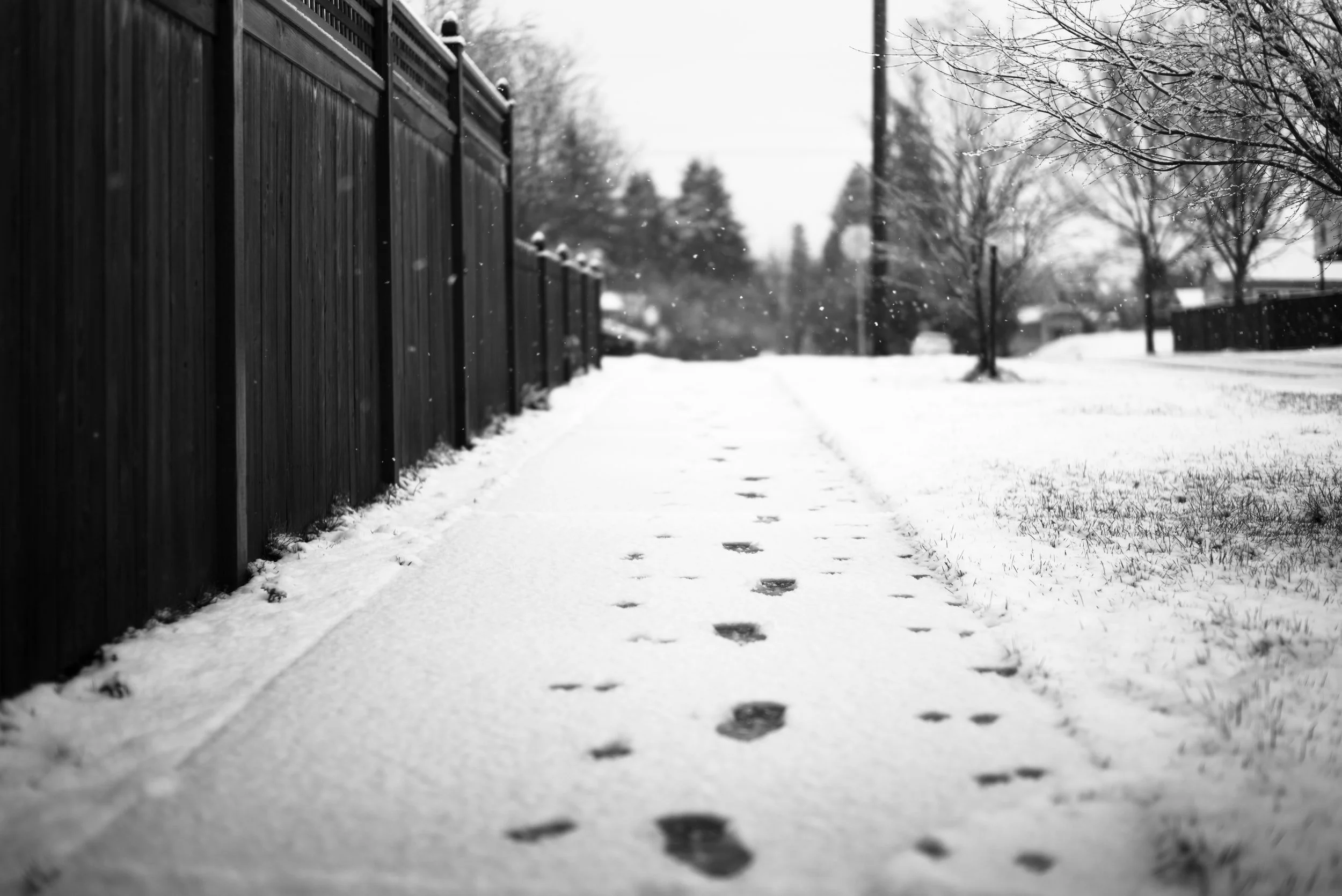 Ladies Prayer Walk