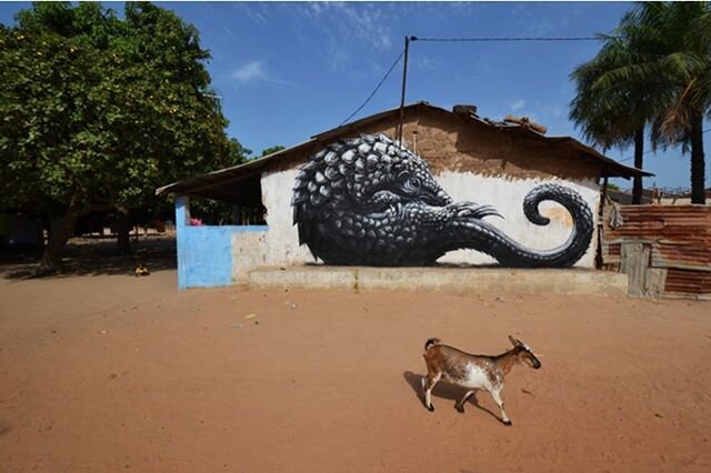 💫✨ Here is some actual good news for you...China removes pangolin scales from traditional medicine list, helping protect &ldquo;The world's most trafficked mammal&quot;.!!✨💫.
.
💫✨The Chinese government has removed pangolin scales from its 2020 lis