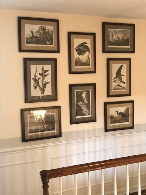 In this residential project, notice the frames are all the same yet we used different mats based on what was best for each image.