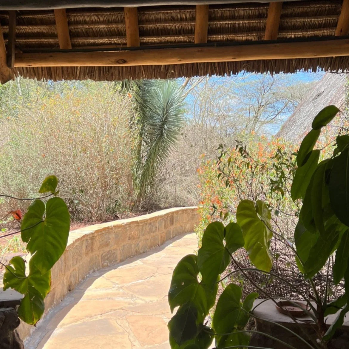 A Day of Rest in Kenya