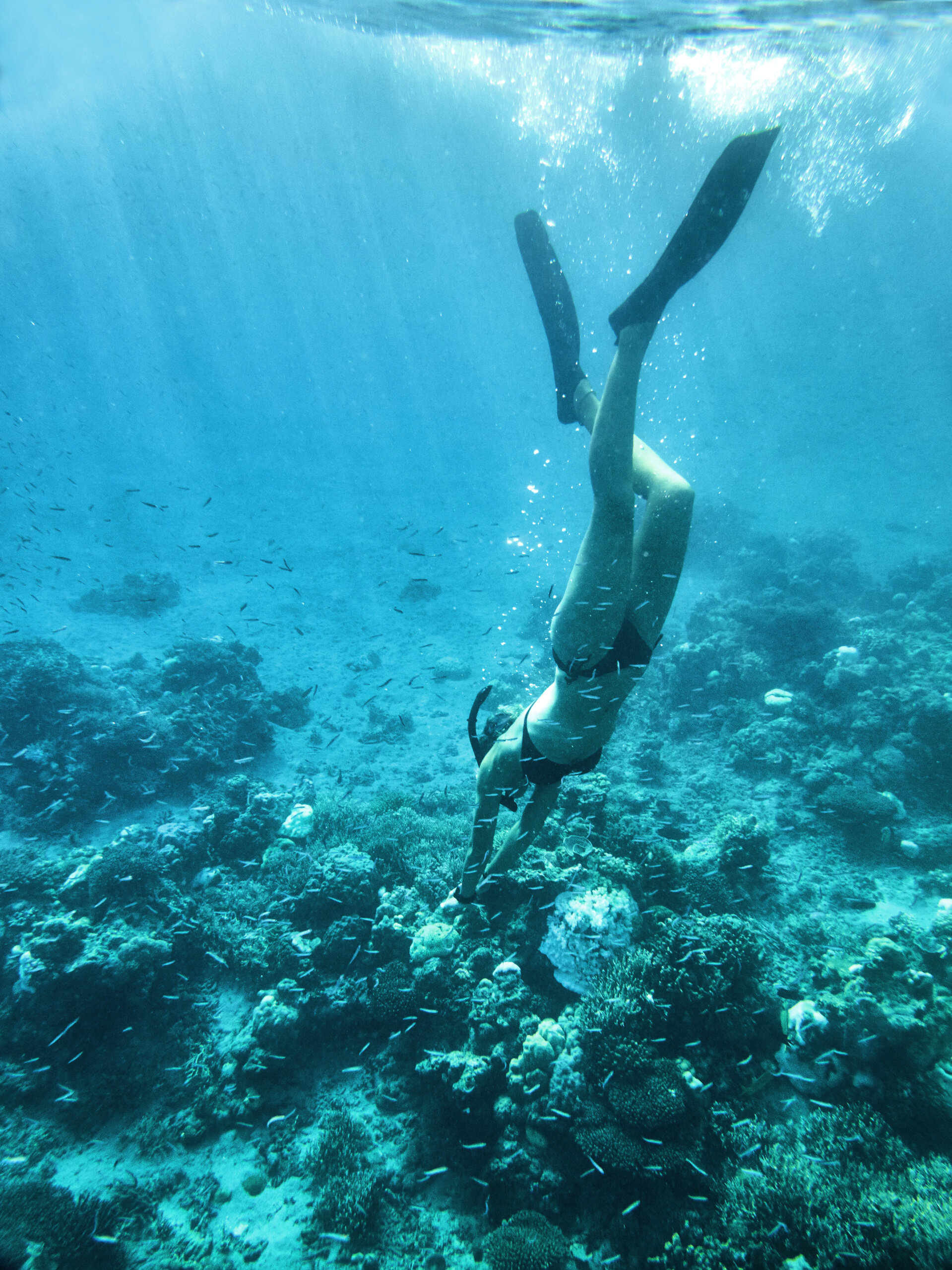 Amanwana, Indonesia  – Free Diving_High Res_14051.jpg