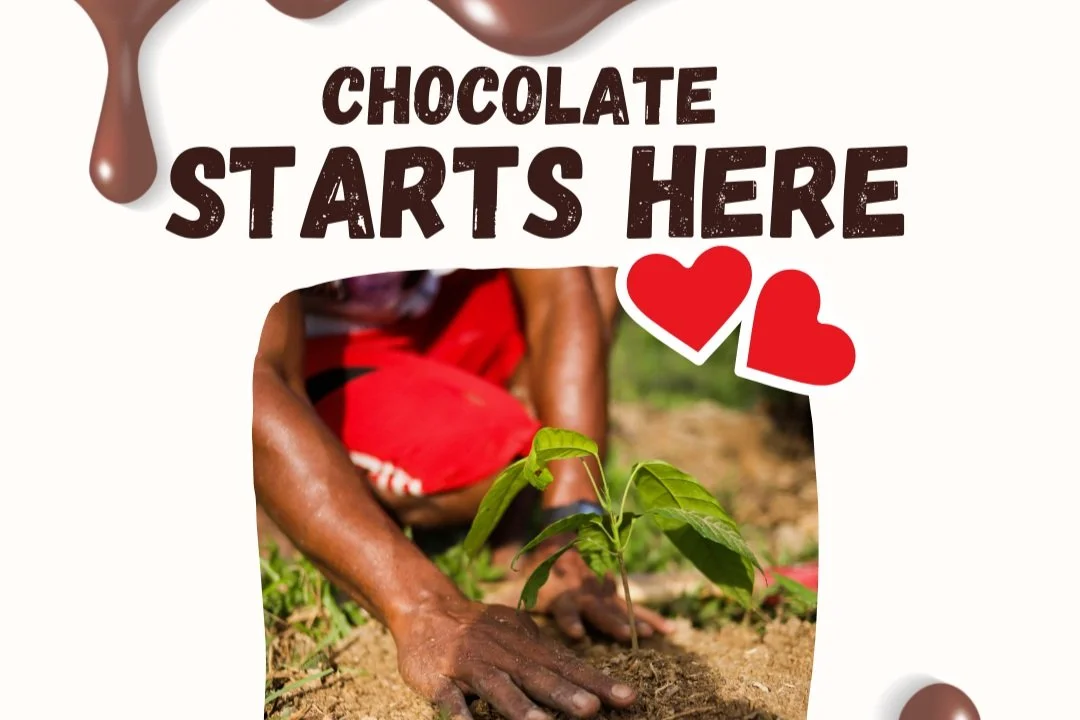 There's A Lot to Making Chocolates