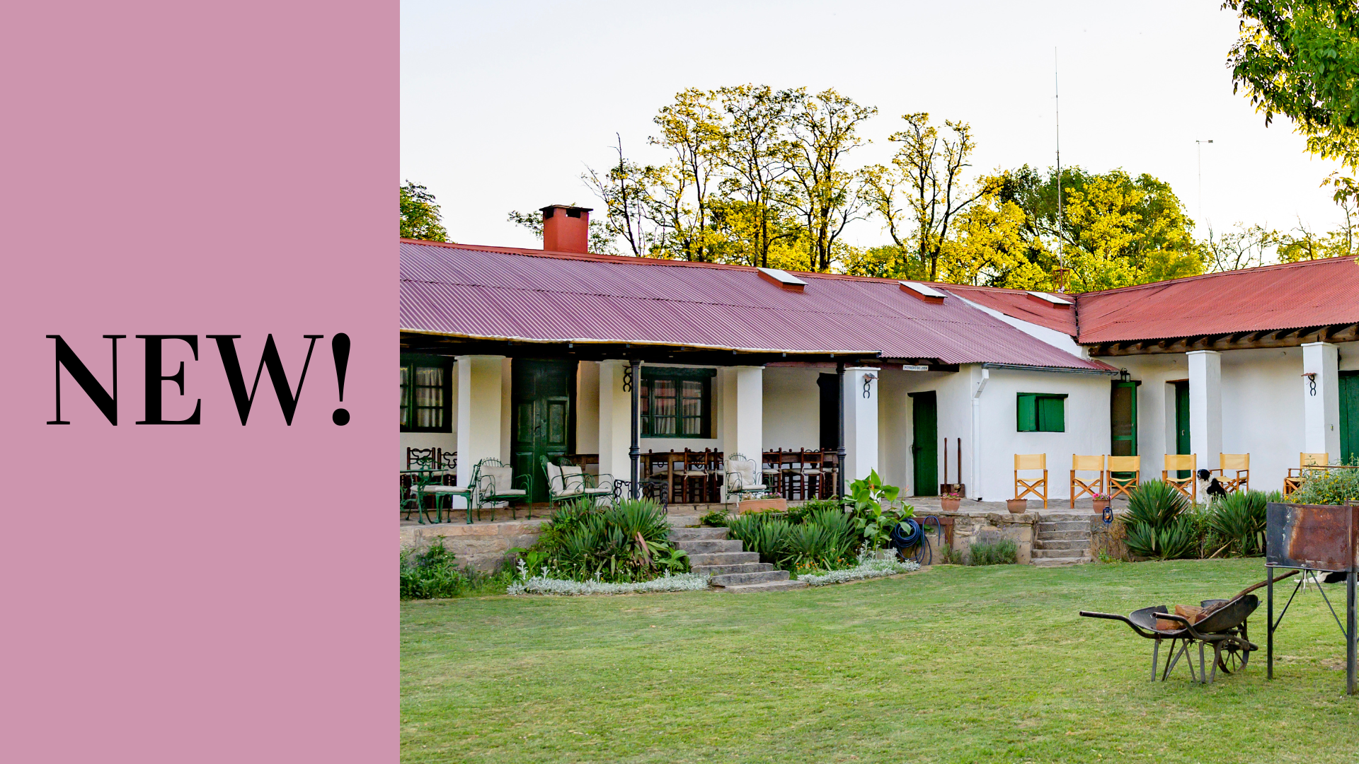 First Leaf Guesthouse