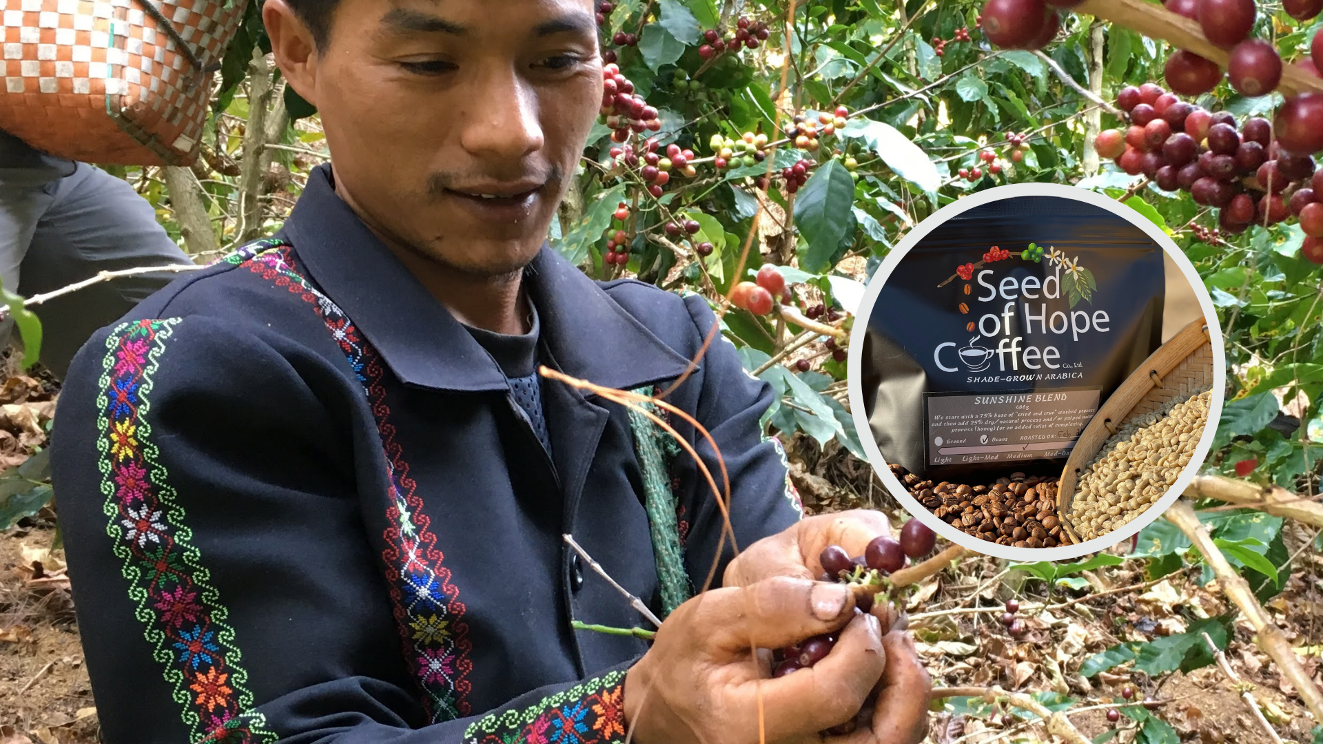 Seed of Hope Coffee