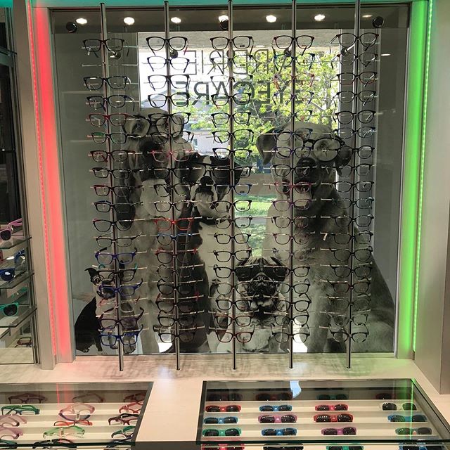 Graphics of dogs wearing glasses mounted on the children&rsquo;s frame wear display at Airdrie Eyecare Centre.  Graphic design by Devon Wallace. #outerorbitcreative #optometry #eyewear #clinicdesign #cabinetry #graphicdesign #interiordesign #spacepla