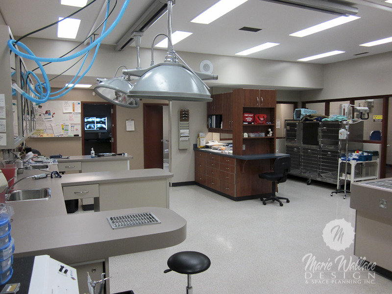 Veterinary Clinic Expertise — Marie Wallace Design