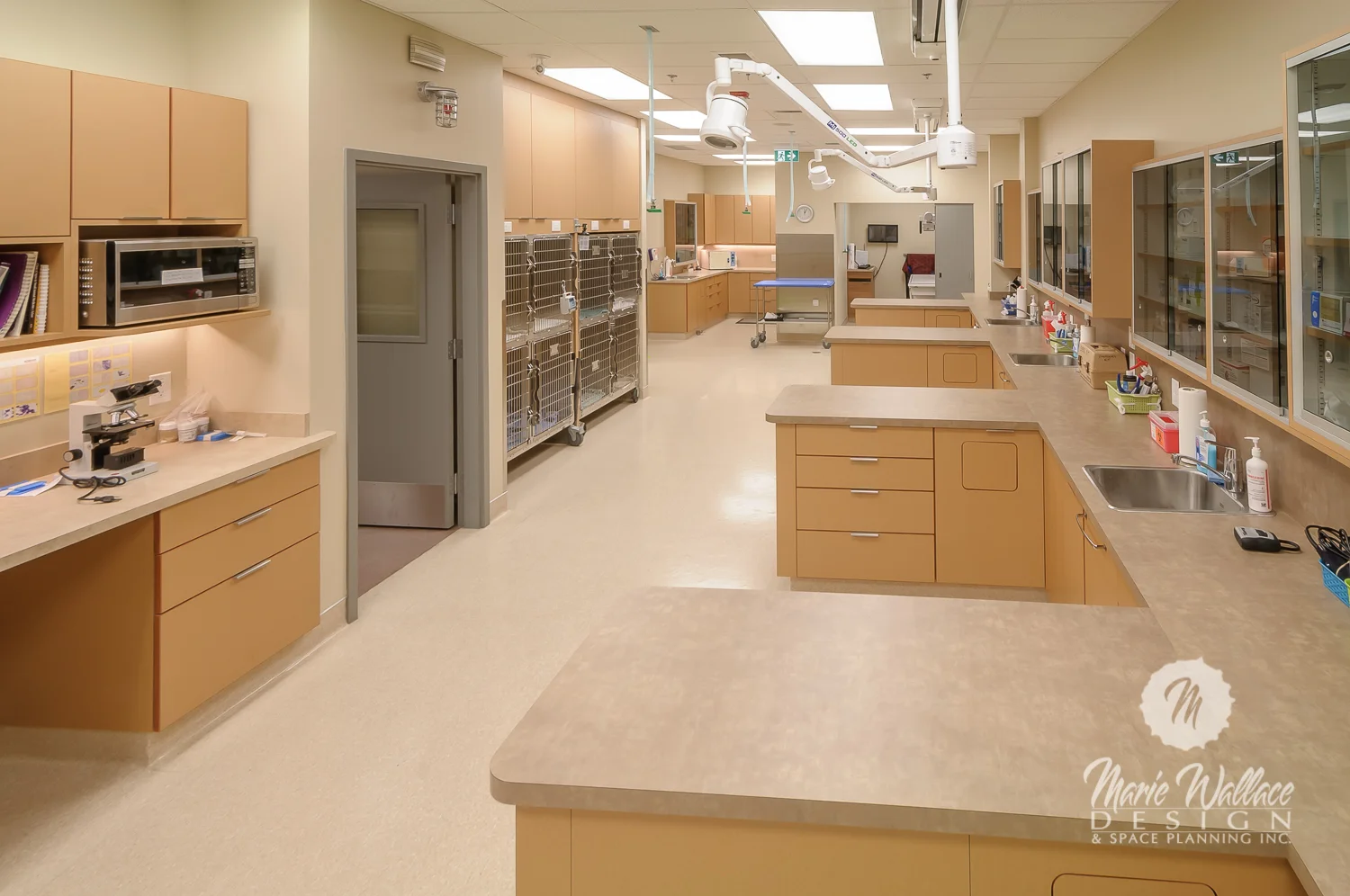 Veterinary Clinic Expertise — Marie Wallace Design
