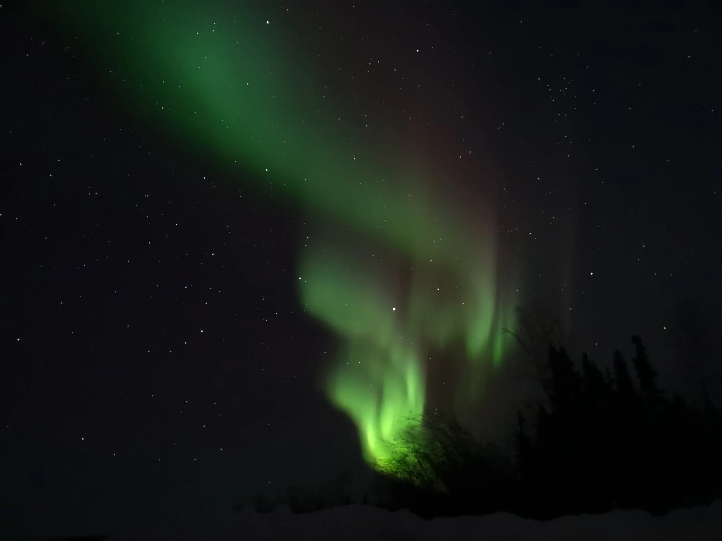 Aurora Hunting 