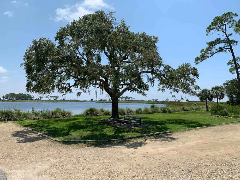 Picnic Area3.jpg