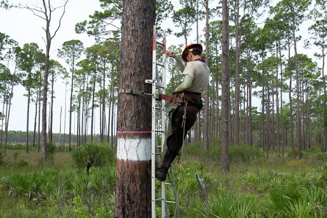 RCW Nestbox Installation