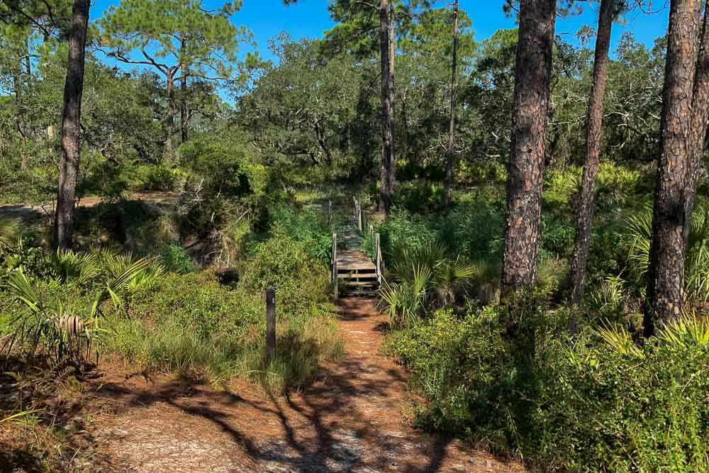 Tower Pond Loop5.jpg