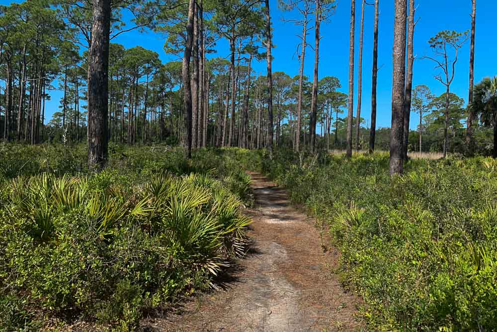 Tower Pond Loop6.jpg