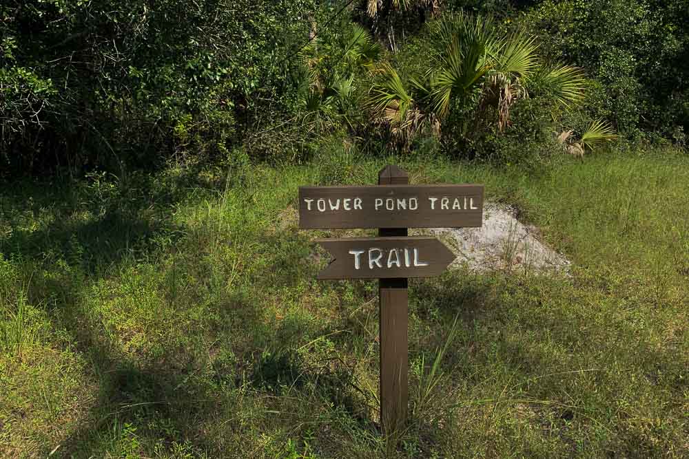 Tower Pond Loop11.jpg