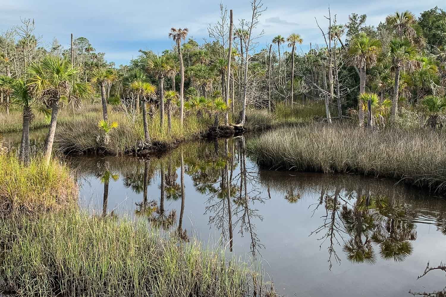 Pinhook River