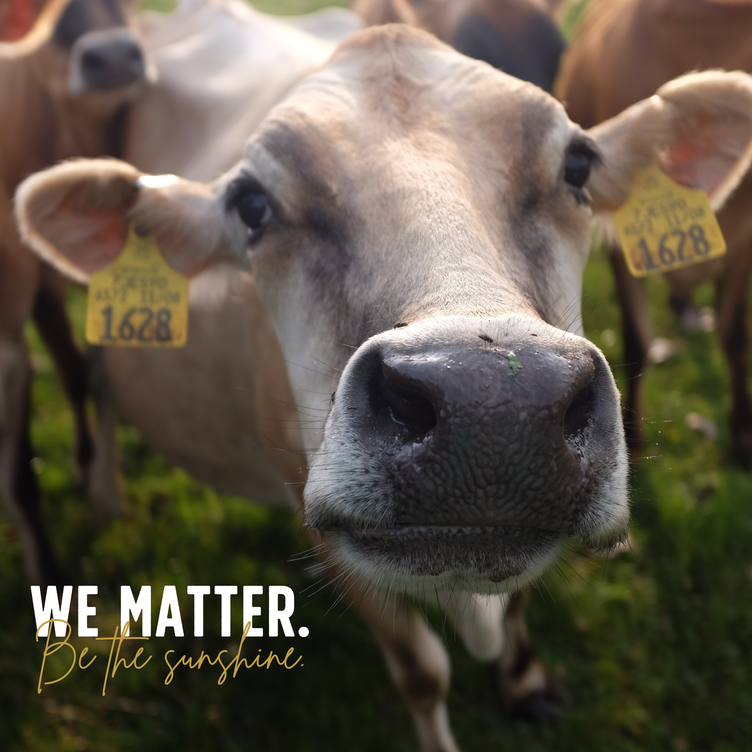 We Matter