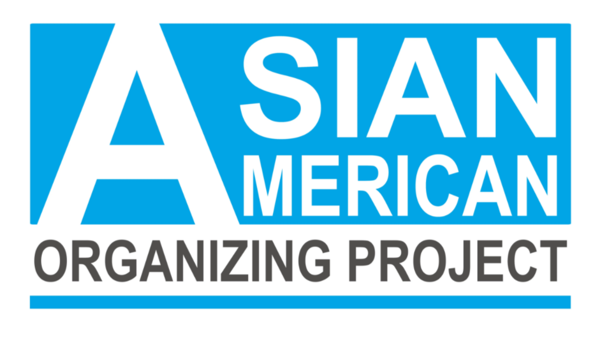 Asian American Organizing Project.png