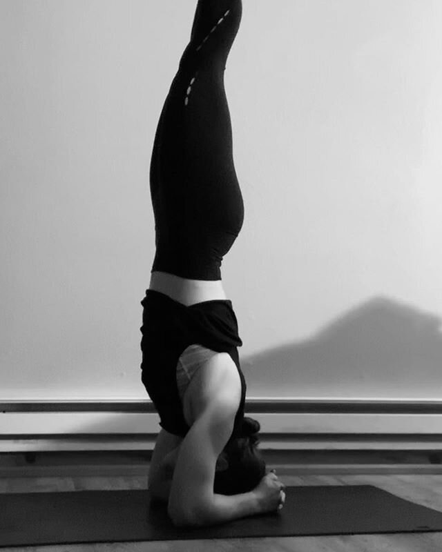 Virtual Headstand Workshop with Emily Selonick tomorrow at 9am EST! 
This online workshop is for all levels of headstanders! The focus is on the foundation and different elements to approach headstand with confidence and ease. This workshop will give