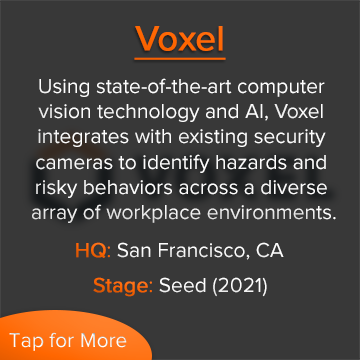 Voxel info