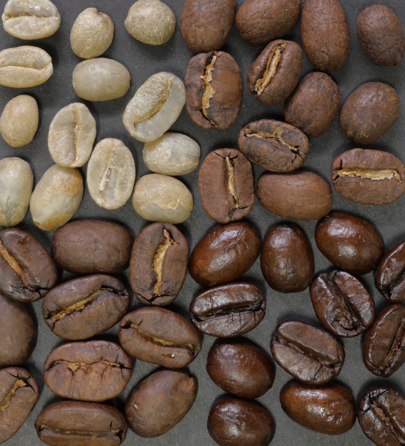 Coffee Varieties