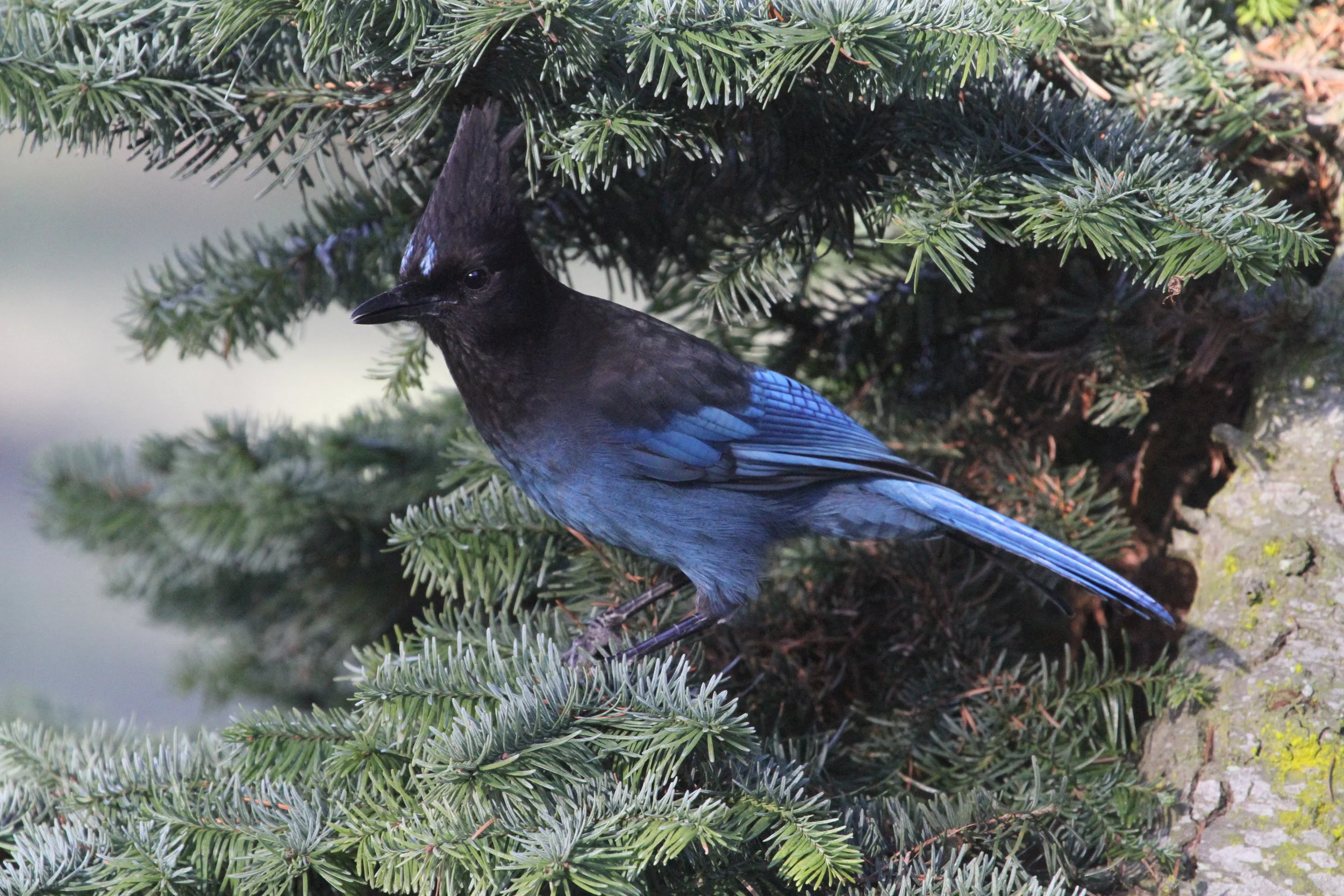 November 2025 President's Notes: 